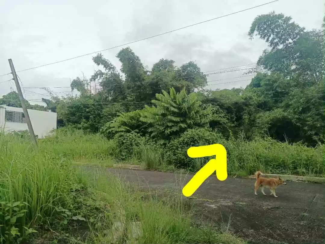 Monte Cielo Lot For Sale — Residential Lot in Naga City, Camarines Sur, Philippines — Photo 3