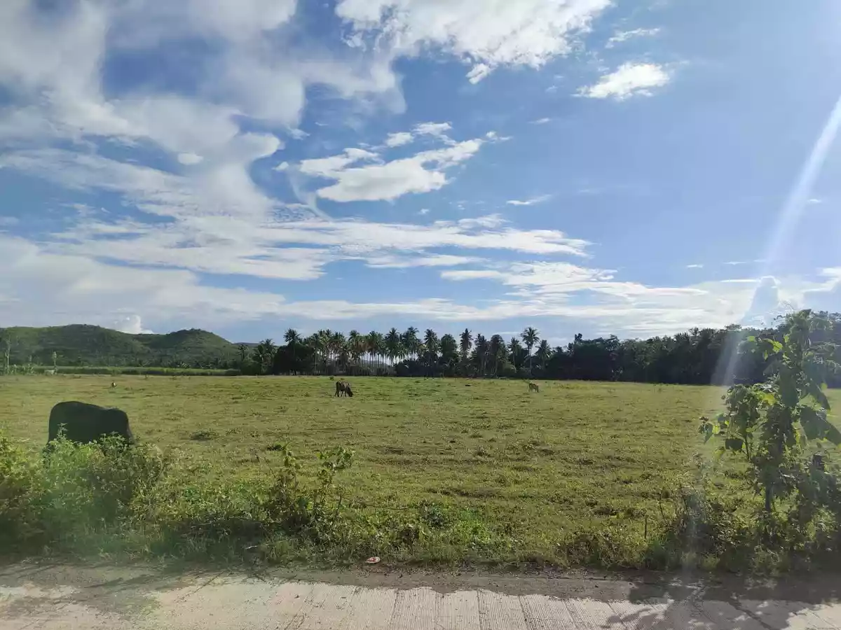 Lot for Sale in Tuburan, Cebu — Commercial Lot in Poblacion, Tuburan, Cebu — Photo 2
