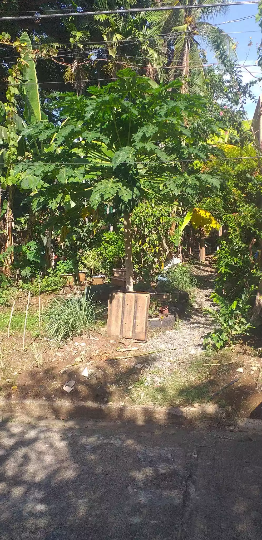 Residential Lot for Sale in Clapperail St., Bellisario Heights, Davao City — Residential Lot in Davao City, Davao del Sur, Philippines — Photo 7