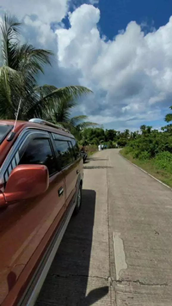 Lot for Sale (Camotes Island) - photo 3