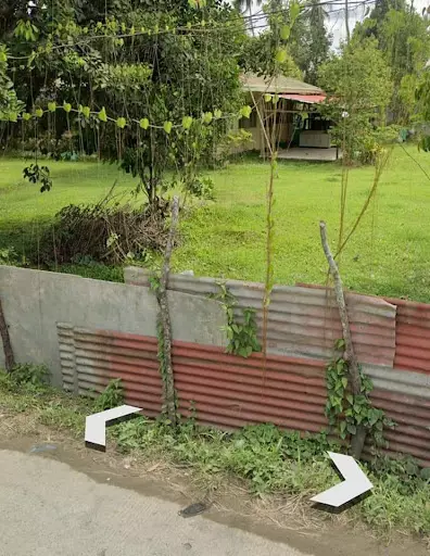 Ideal for mixed use — Commercial Lot in Panabo Circumferential Road, Tagum, Davao del Norte — Photo 7