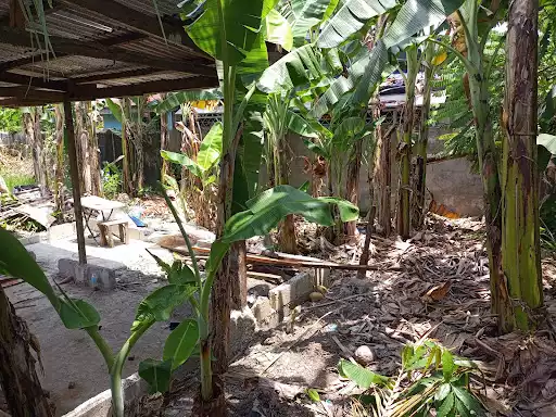 Residential Lot in Dawis, Talisay for Sale — Residential Lot in Dawis Road, Talisay, Cebu — Photo 3