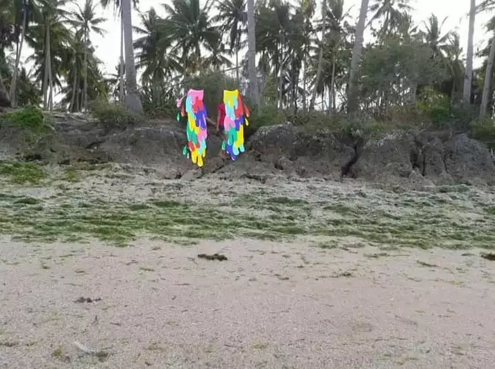 Titled - photo 5