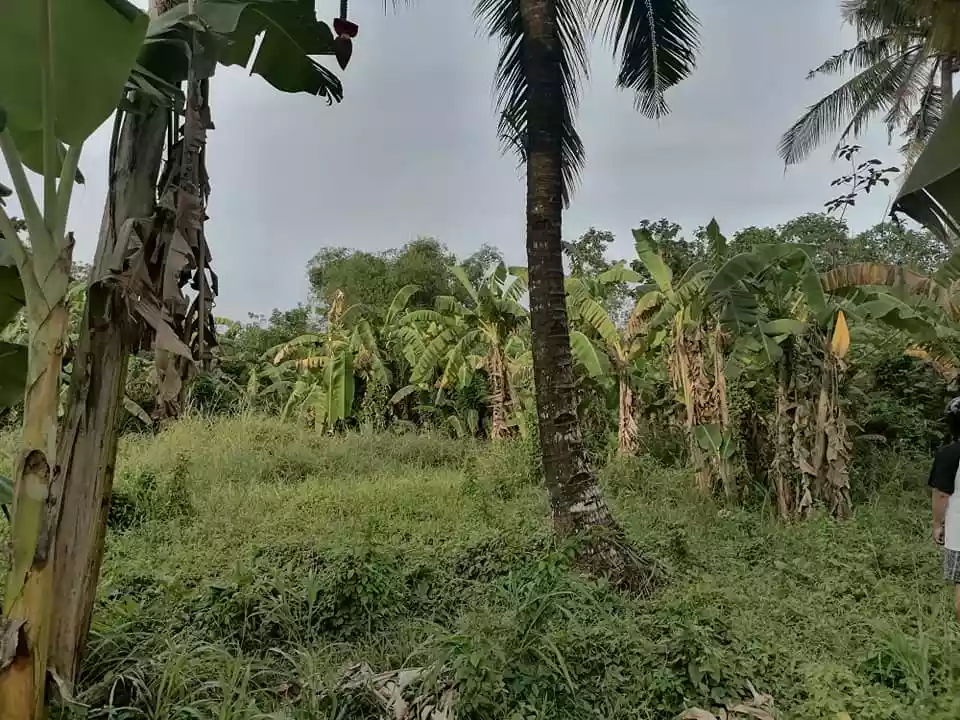 1.3hec land near highway Mandacpan Butuan City