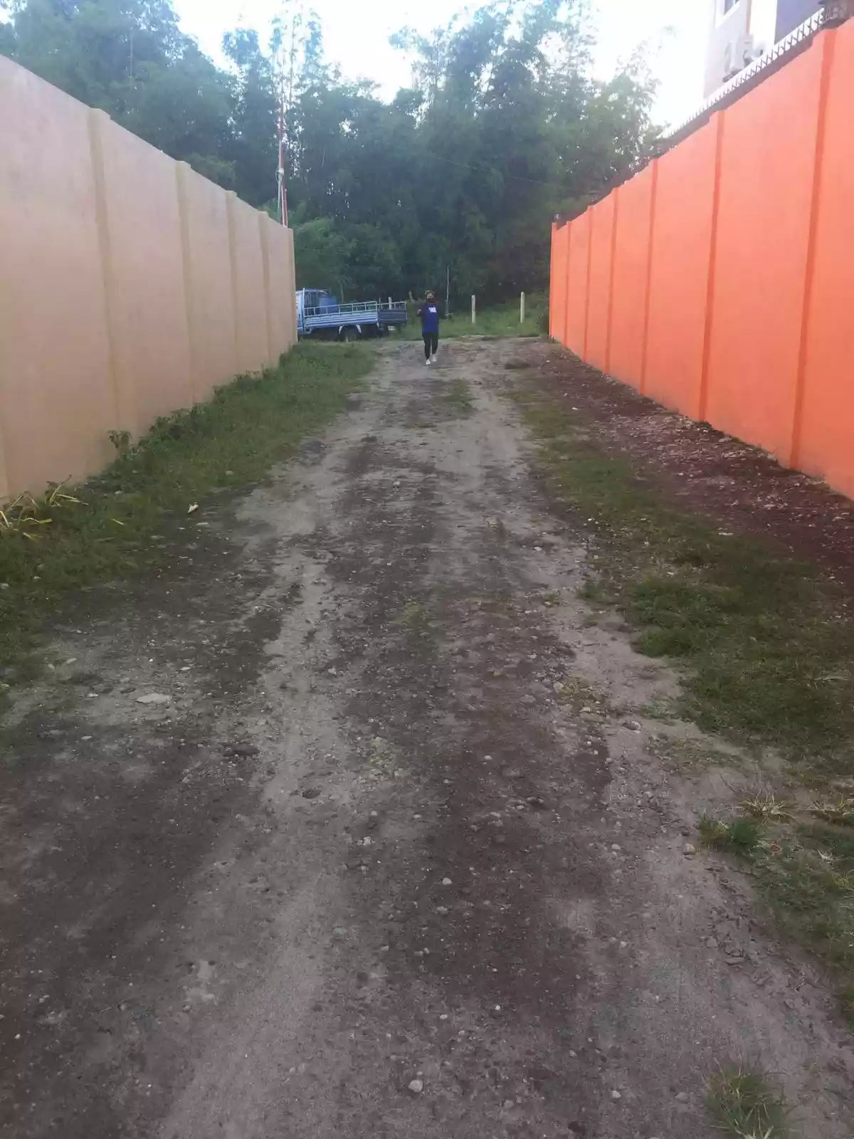 Sulodpan Bacong Subdivided lots - photo 5