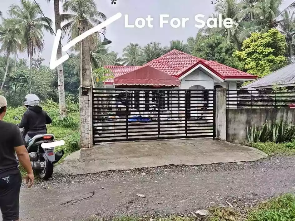 Lot for sale in Cabadbaran City - photo 6