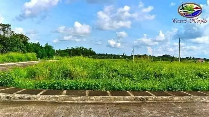 159 sqm LOT ONLY at Caceres Heights, Pacol - photo 3