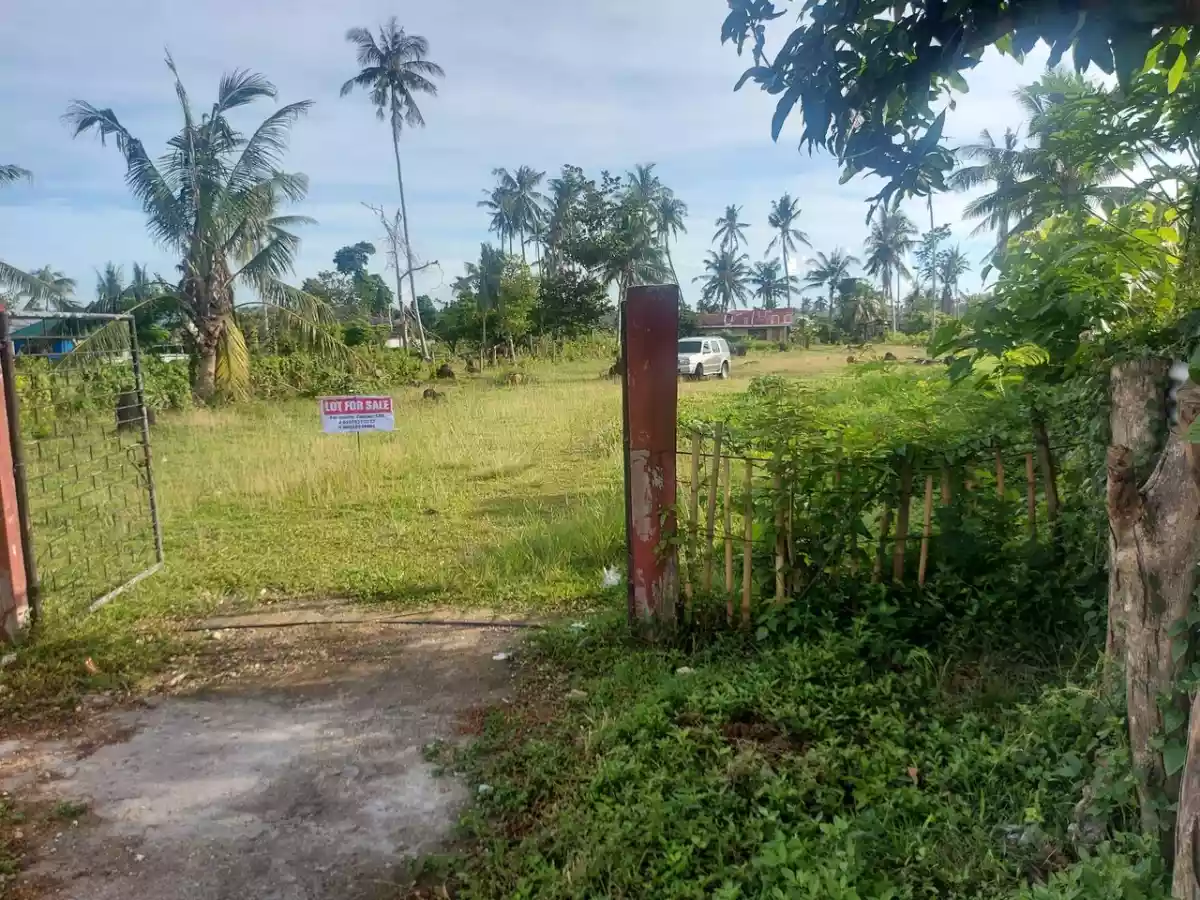 For lease & for sale: Commercial Property in Tubigon Bohol