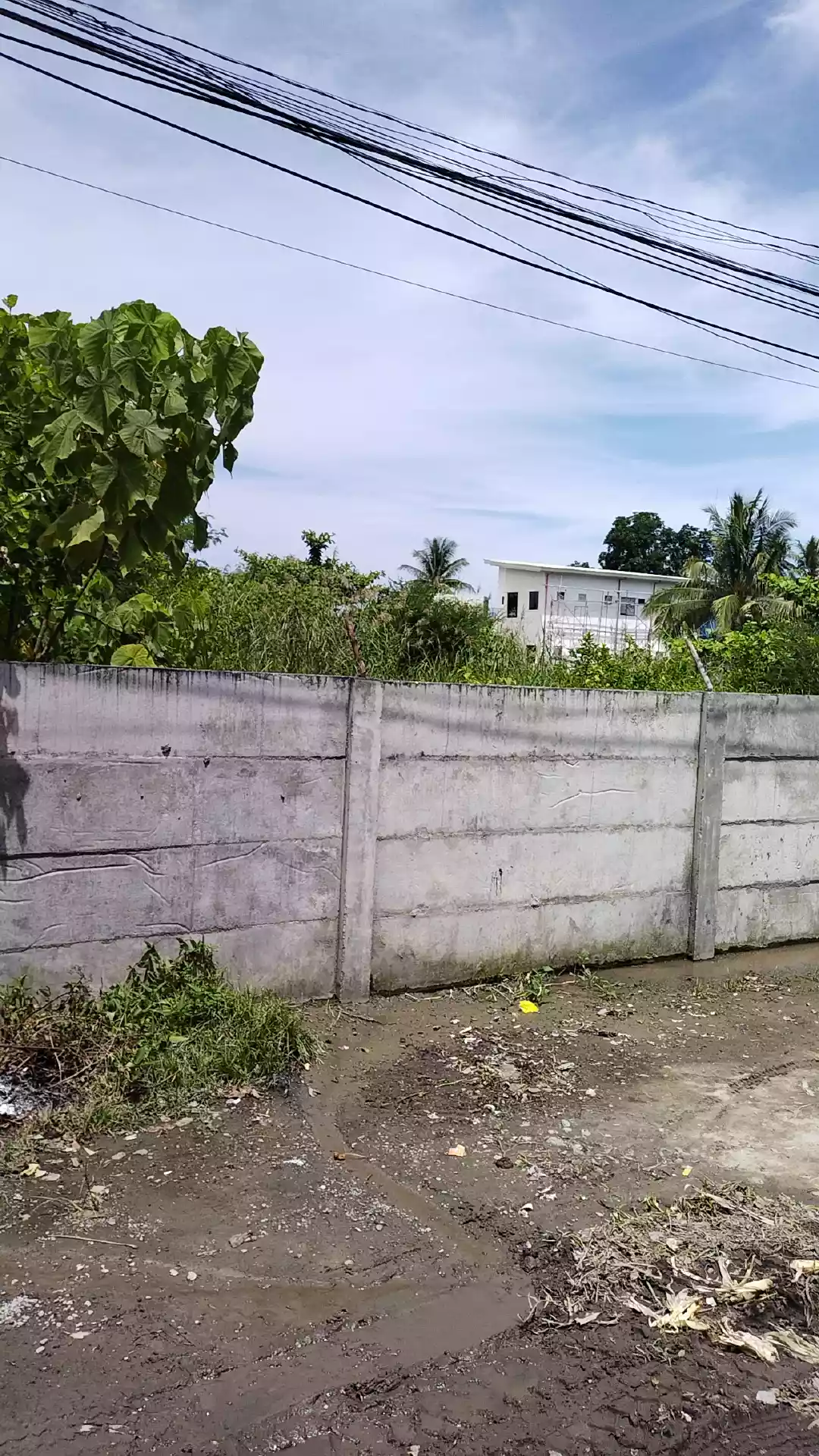 Corner lot near nddu IBED  - photo 5