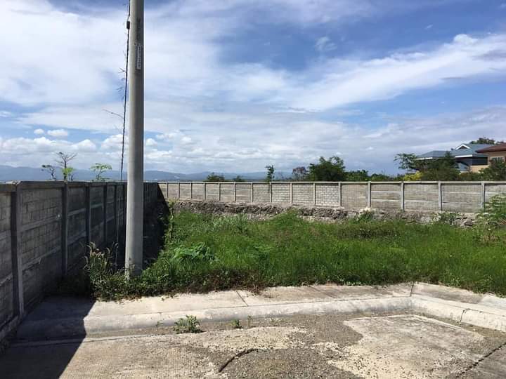 Lot for sale inside subd near beach resort in mactan - photo 5
