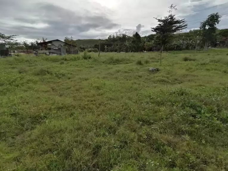 Vacant Lot for SALE located in Cotcot Liloan CEBU — Industrial Lot in Liloan, Cebu, Philippines — Photo 6