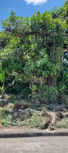 Residential only in Metropolis Talamban