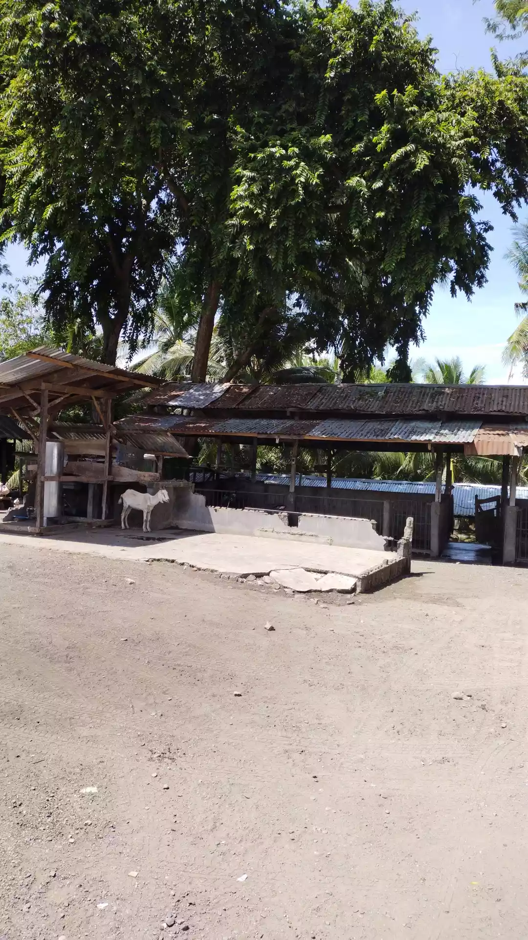 All in deal at tokawal - photo 3