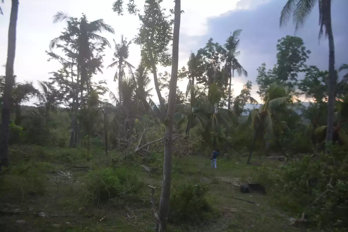 TITLED LOT FOR SALE IN CARCAR (LOT 1) - photo 3