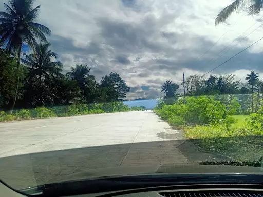 Land For Sale along National Highway of Ampayon Diversion road — Agricultural Lot in Butuan City, Agusan Del Norte, Philippines — Photo 4
