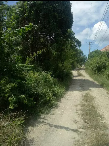 Lot for Rent in Lapu2