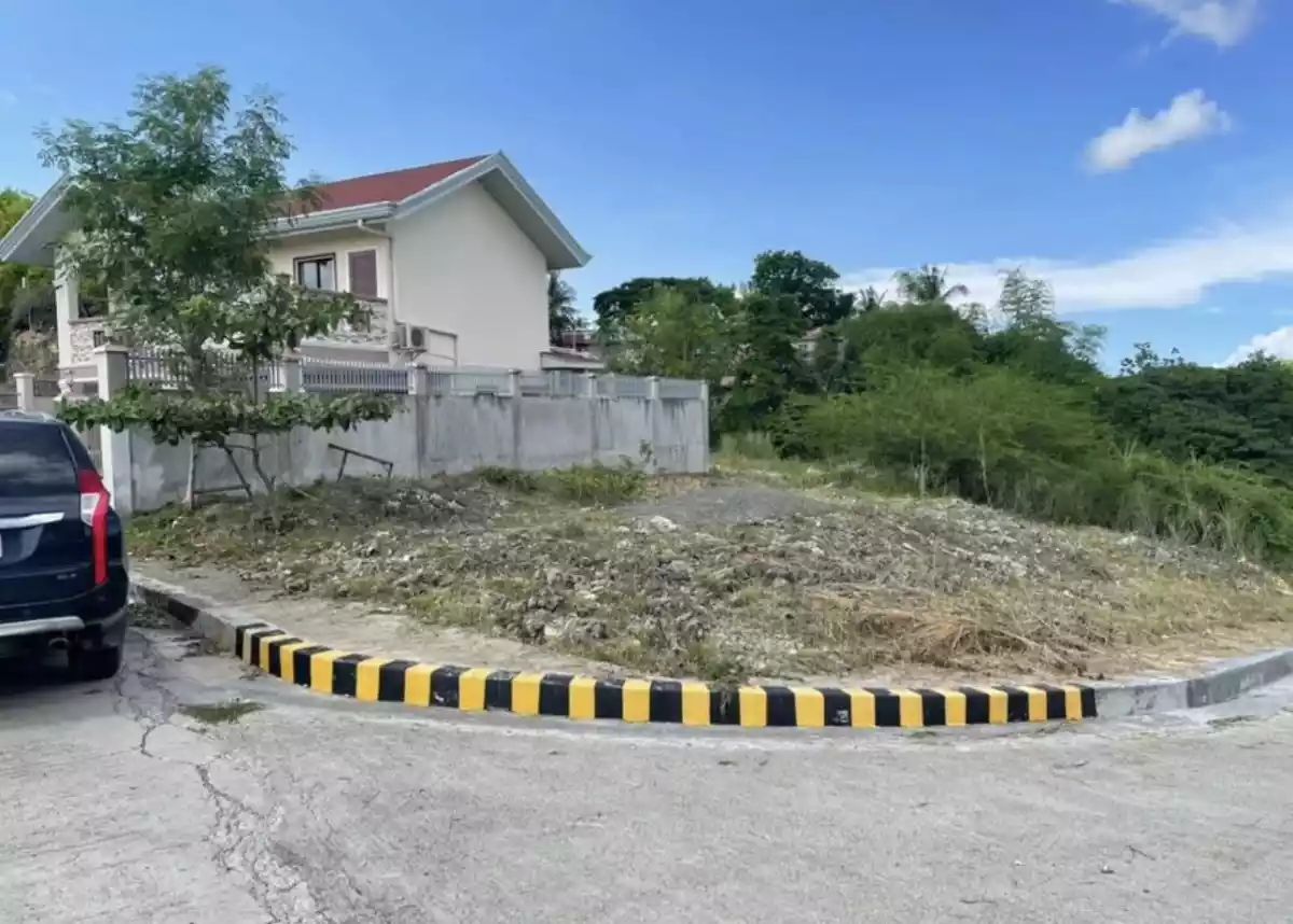 LOT FOR SALE IN VISTA VERDE CONSOLACION - photo 2