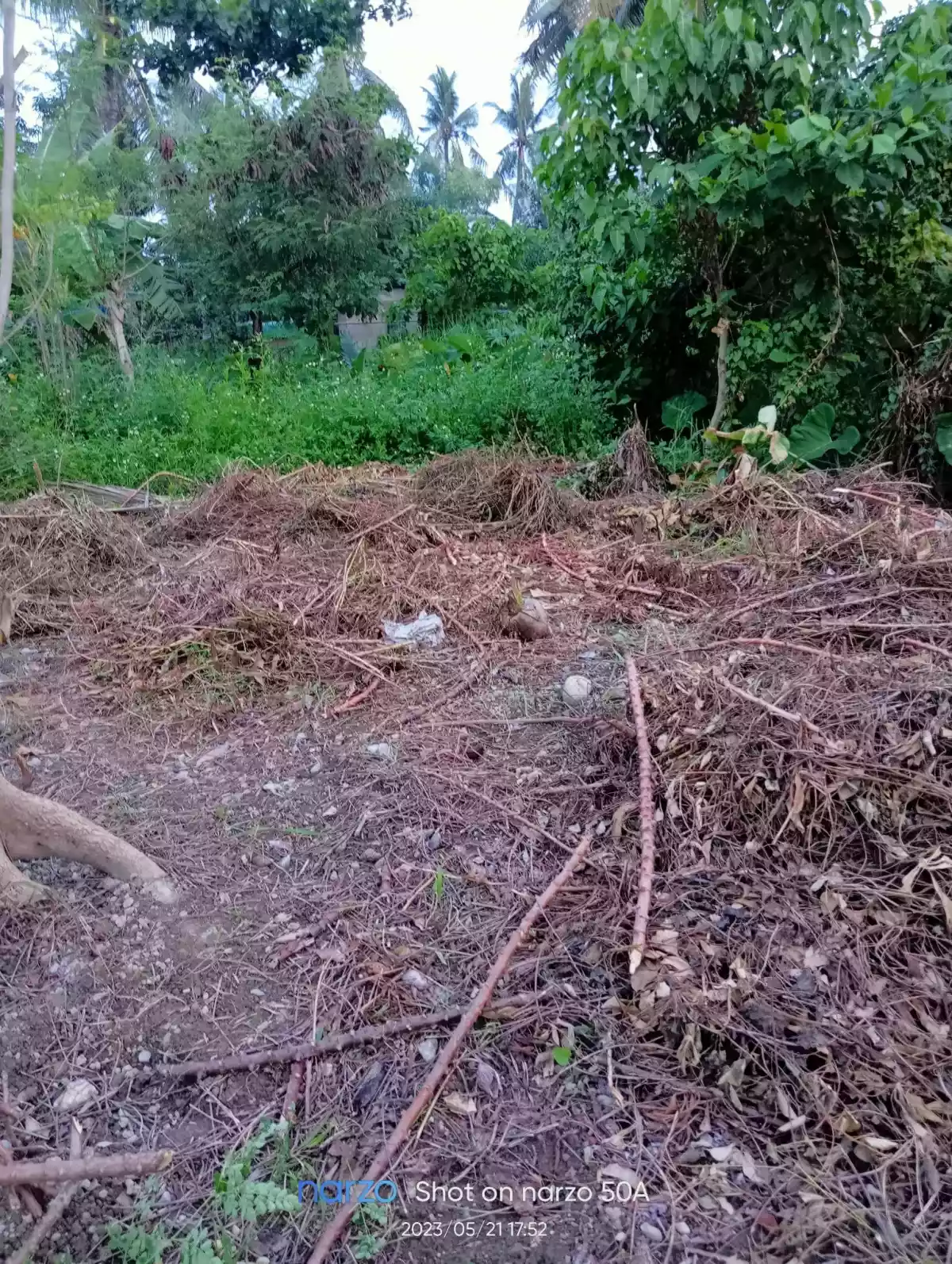RESIDENTIAL LOT FOR SALE IN TALISAY CITY!! - photo 6