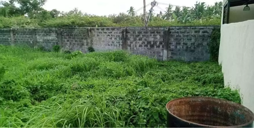 Corona Del Mar Lot for Sale — Residential Lot in Talisay, Cebu, Philippines — Photo 3