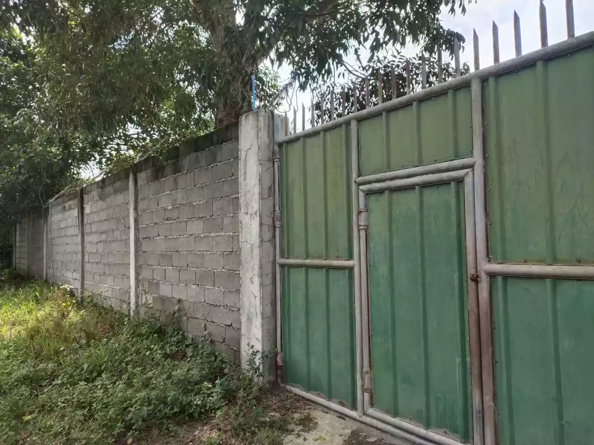 Open photo 11 of 12 — 4-Hectare Farmland with Fruit-bearing Trees and River Access