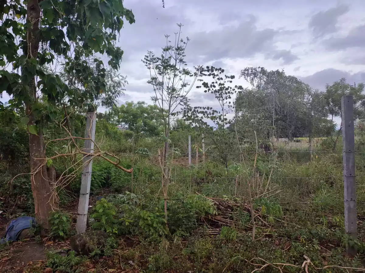 RESIDENTIAL LOT FOR SALE — Residential Lot in General Santos City, South Cotabato, Philippines — Photo 2