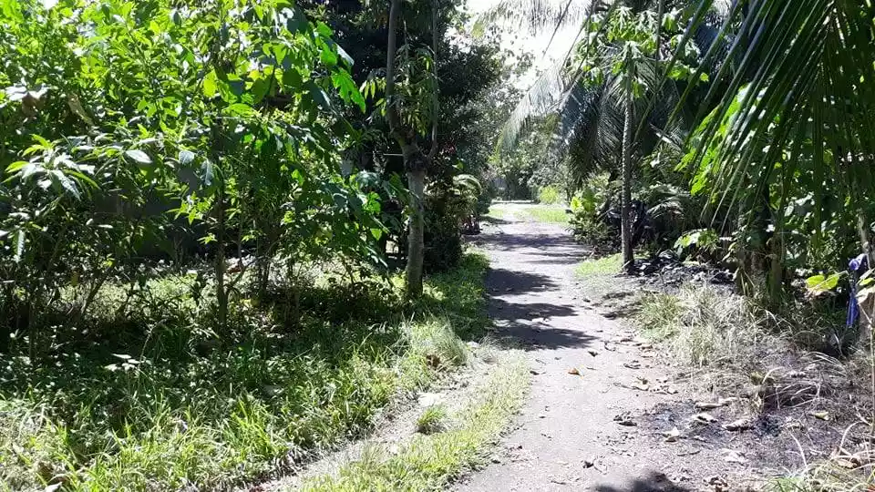 Toril fish port lot at Tambakan — Residential Lot in Toril, Davao City, Davao del Sur — Photo 6
