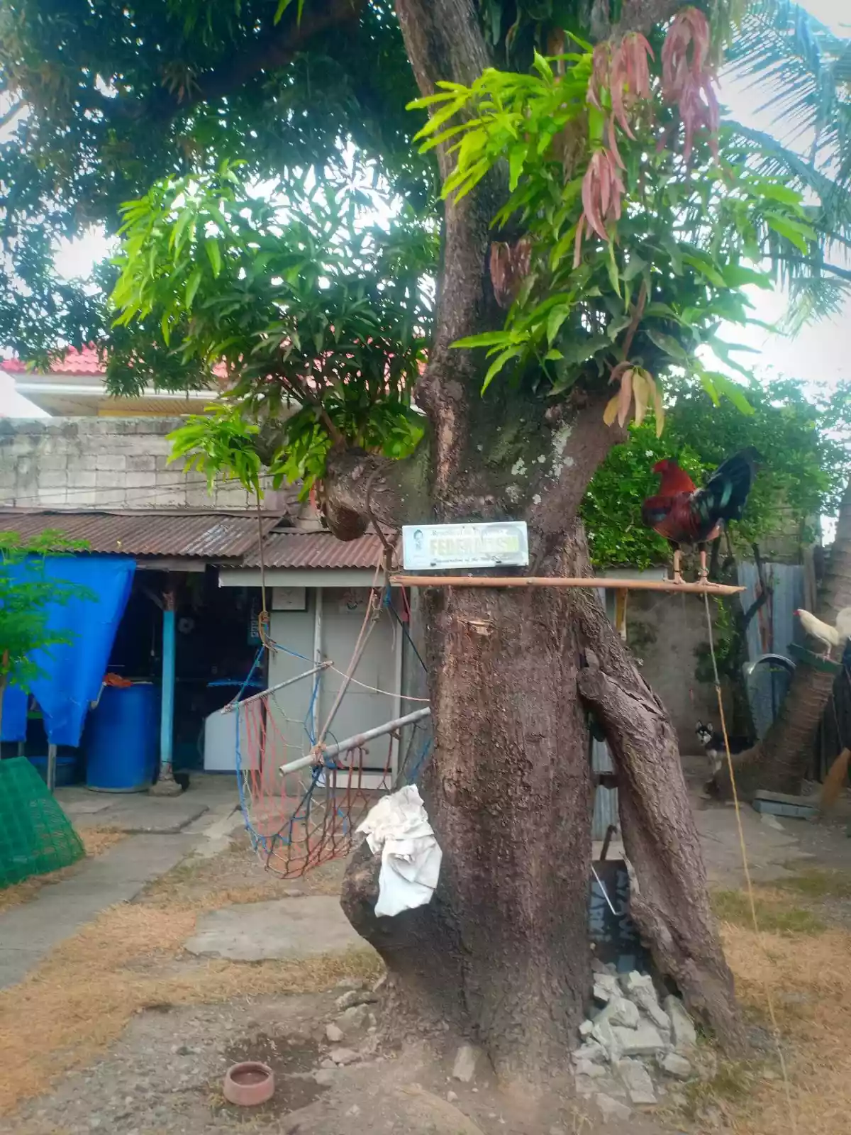 FOR SALE RESIDENTIAL LOT! - photo 3