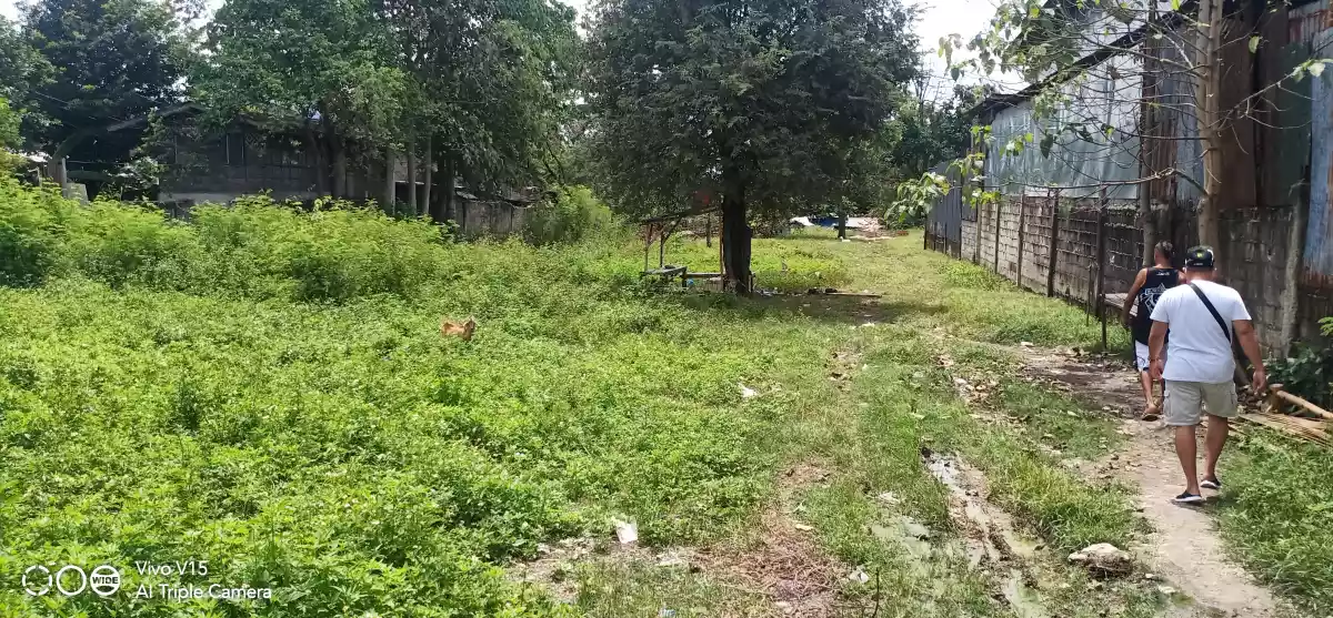 Commercial Lot For Sale in Paknaan, Mandaue - photo 6