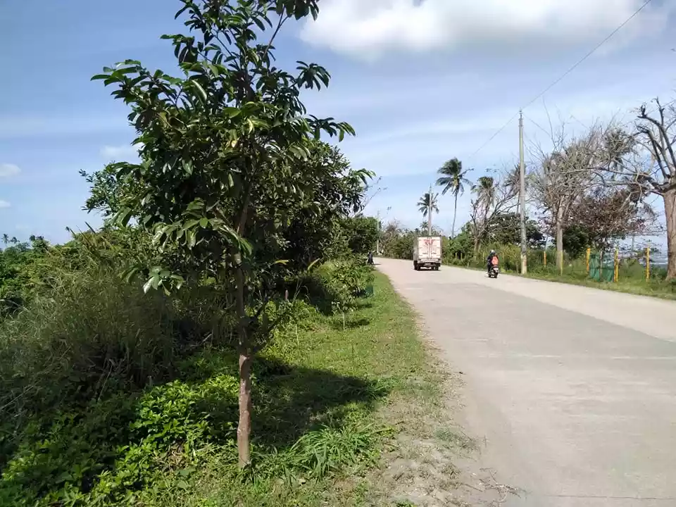 6has-8has Expandable Casile Lots for Housing, Farm Resort, Commercial, Condo, Subdivision, Memorial lots - photo 7