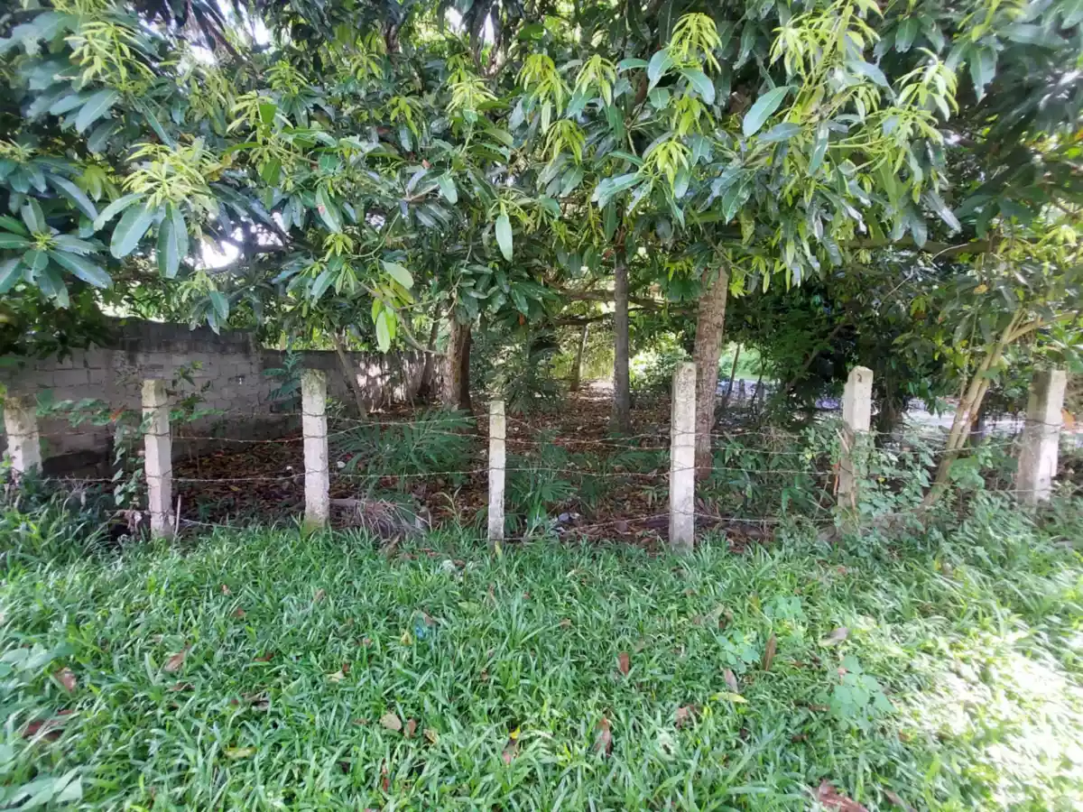 Open photo 18 of 26 — Farm Lot Convertible to Residential