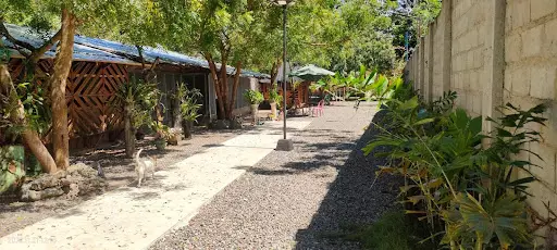 Beach Resort for Sale in Escalante Negros Occidental — Beach Lot in Escalante City, Negros Occidental, Philippines — Photo 7