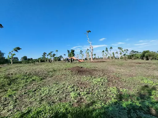 605 — Agricultural Lot in Naga, Camarines Sur, Philippines — Photo 5