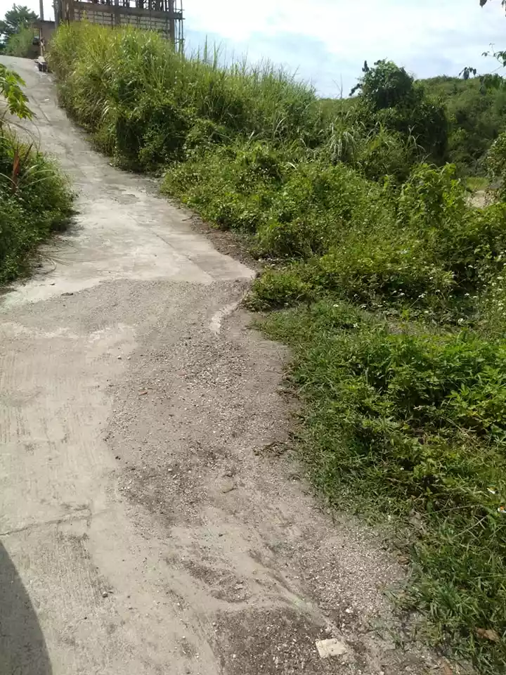 Titled lot for sale in Lilo an - photo 6