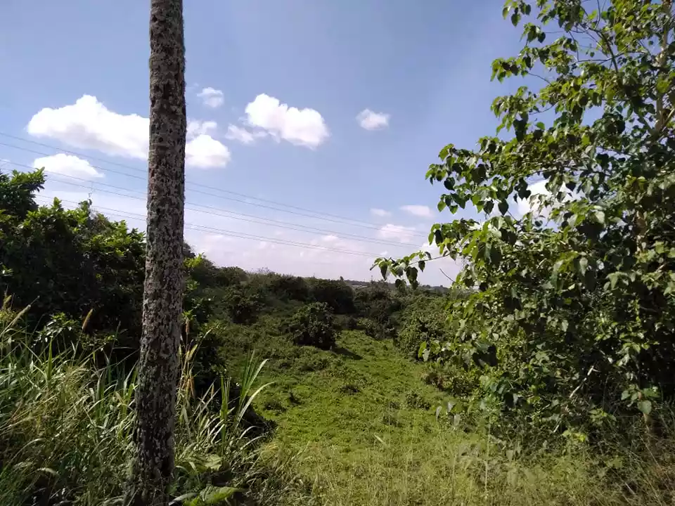 6has-8has Expandable Casile Lots for Housing, Farm Resort, Commercial, Condo, Subdivision, Memorial lots - photo 4