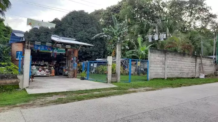 Clean title House and lot for sale in Bacong,Negros Oriental (along the road) — House and Lot in Negros Oriental, Philippines — Photo 3