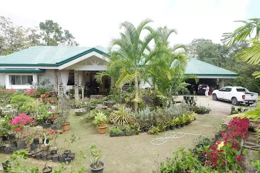 FARM HOUSE FOR SALE?? — House and Lot in Cebu City, Cebu, Philippines — Photo 3
