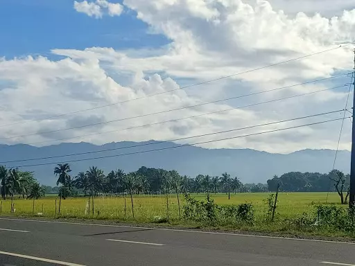 Land For Sale along National Highway in Butuan — Agricultural Lot in Butuan, Agusan Del Norte, Philippines — Photo 4