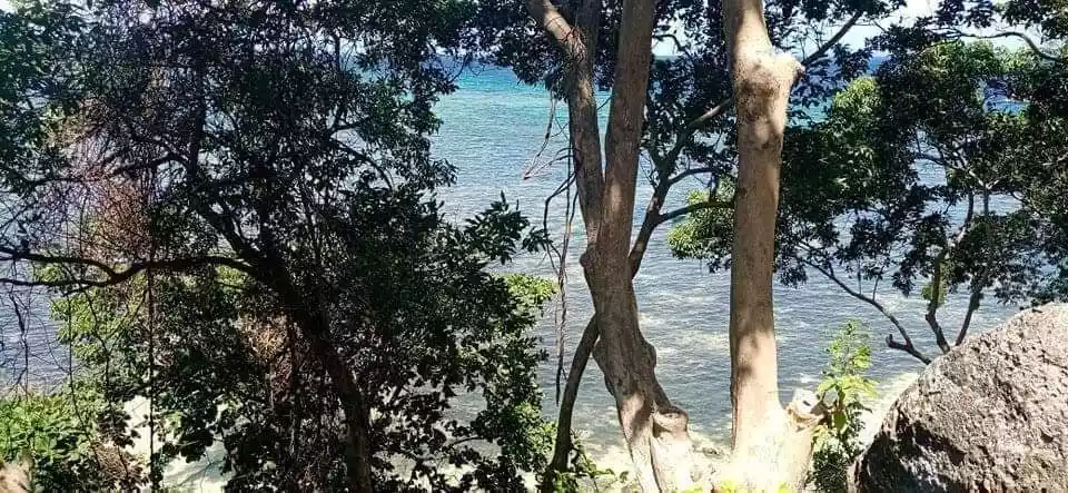 BEACH LOT FOR SALE - photo 5
