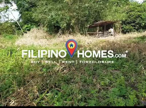 Agricultural Lot for Sale in Naga, Camarines Sur — Agricultural Lot in Naga, Camarines Sur, Philippines — Photo 4