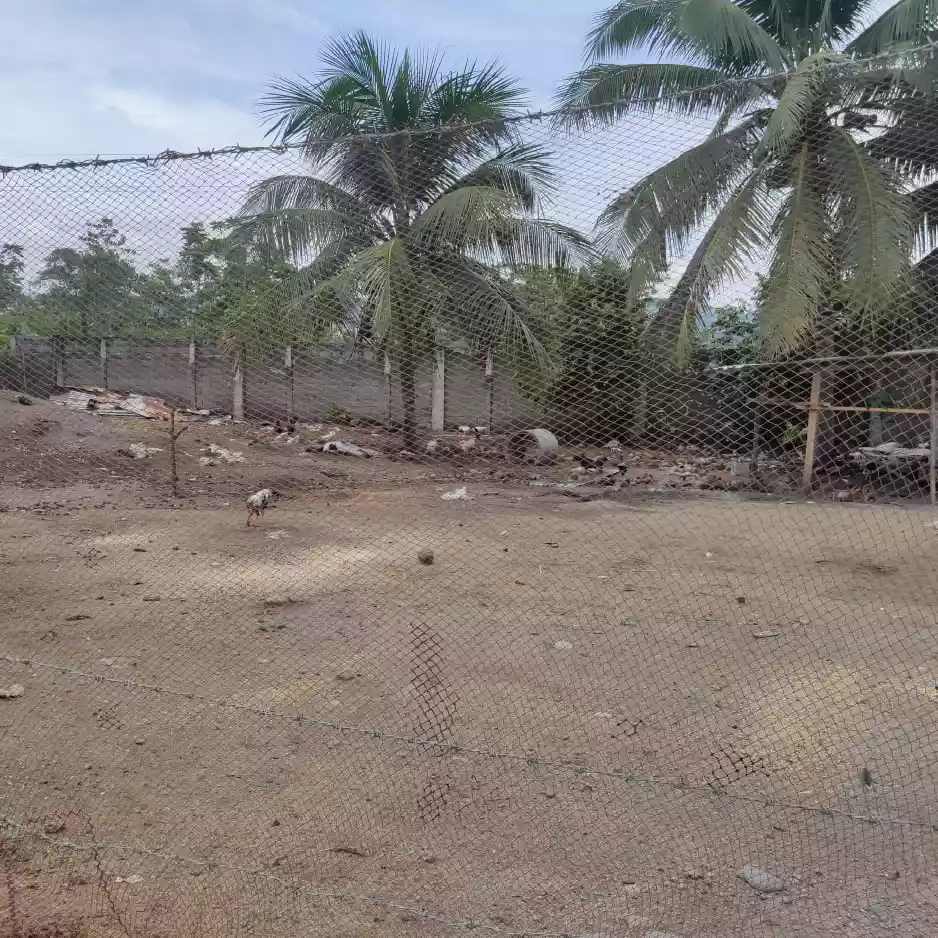 2 Has Lot with Rice Mill ,Sorter and Hammer mill  - photo 5