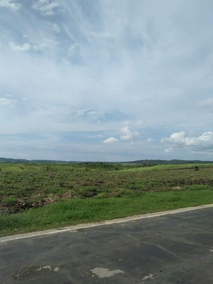 Affordable lot for sale - photo 5
