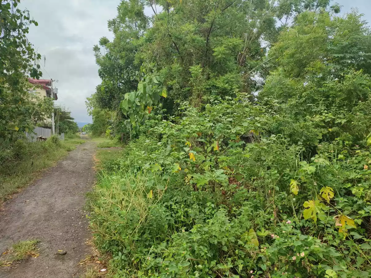 RESIDENTIAL LOT FOR SALE — Residential Lot in General Santos City, South Cotabato, Philippines — Photo 6