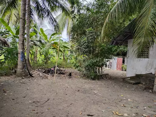 2022000061 — Beach Lot in Sarangani, Philippines — Photo 5
