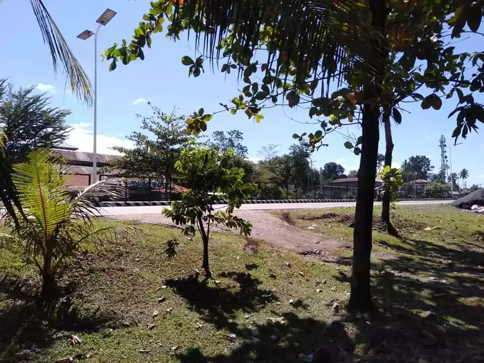 Commercial Lot along Don Carlos Highway, Bukidnon — Commercial Lot in Bukidnon, Philippines — Photo 5
