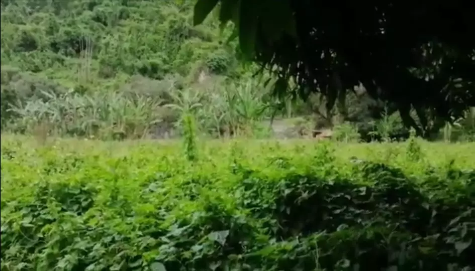 LOT FOR SALE IN BUSAY NEGOTIABLE - photo 3