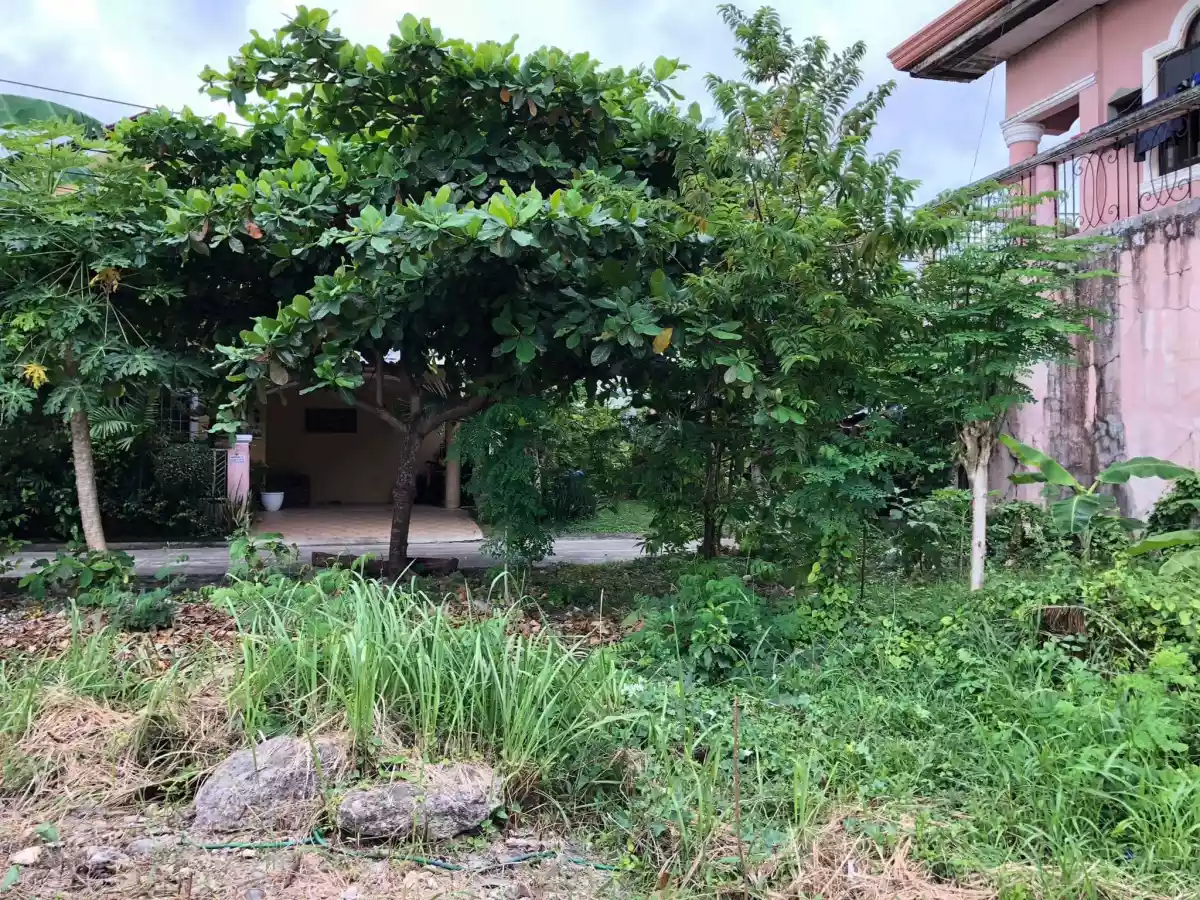 Pacific Grand Villa Lot Only Forsale!! — Residential Lot in M.L. Quezon National Highway, Lapu-Lapu City, Cebu — Photo 5