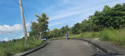 Lot Only in Alta Vista - photo 2