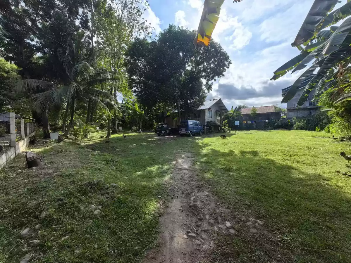 Lots for Sale in Batinguel Dumaguete City