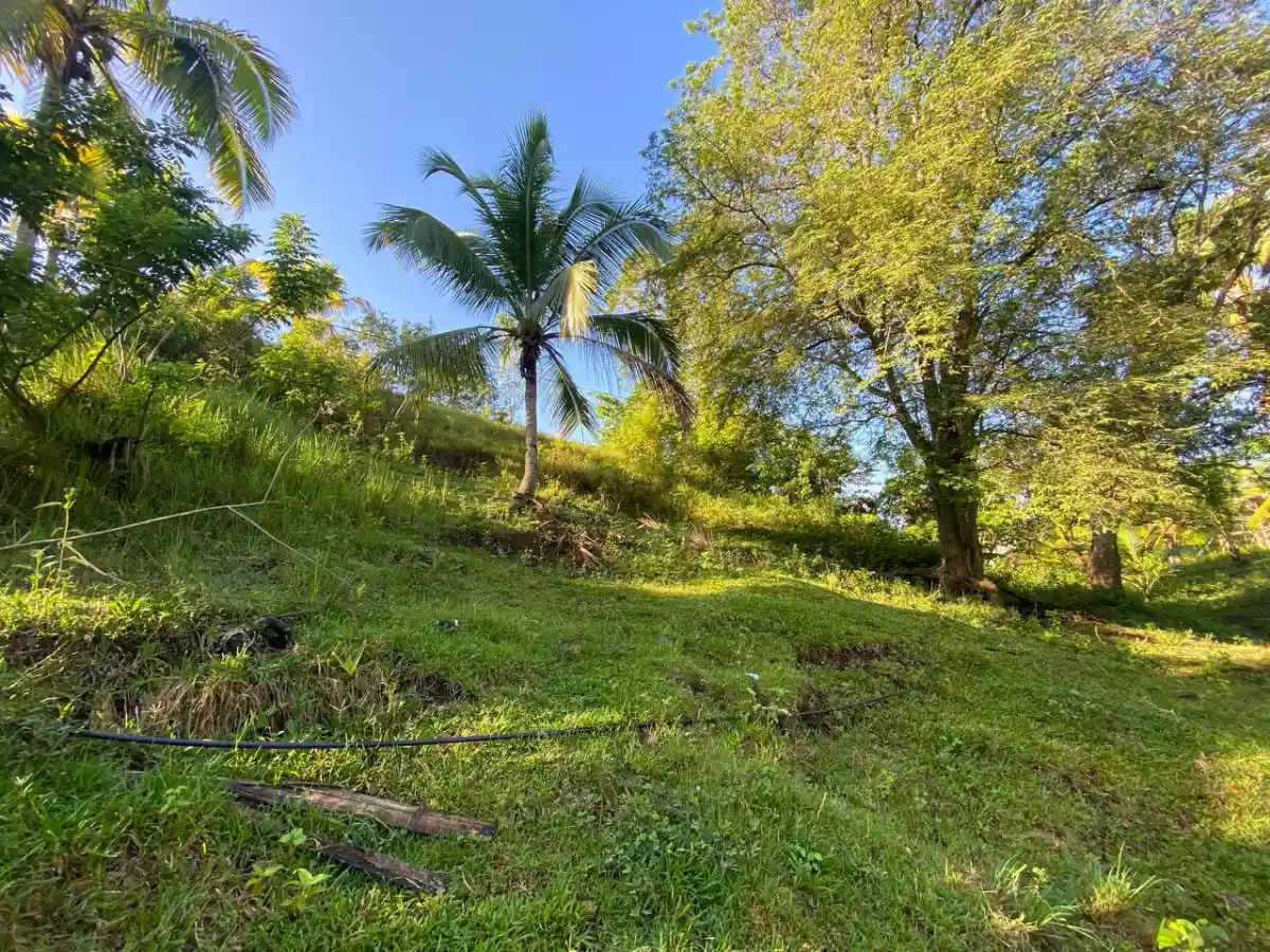 Open photo 13 of 27 — Over Looking LOT FOR SALE along Brgy Road Bayanga, Cagayan de Oro City
