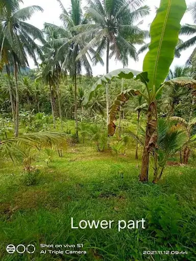 Lot for Sale in San Fernando
